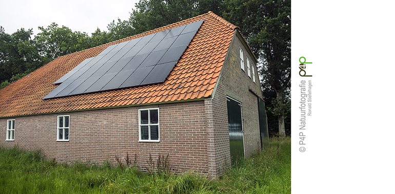 Zonne-energie voor Staatsbosbeheer