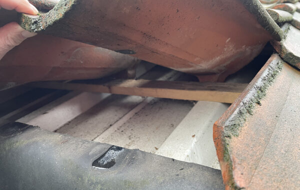 Quickscan woning Leersum