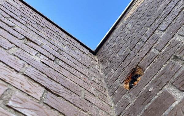 Quickscan bedrijfspand Doorn