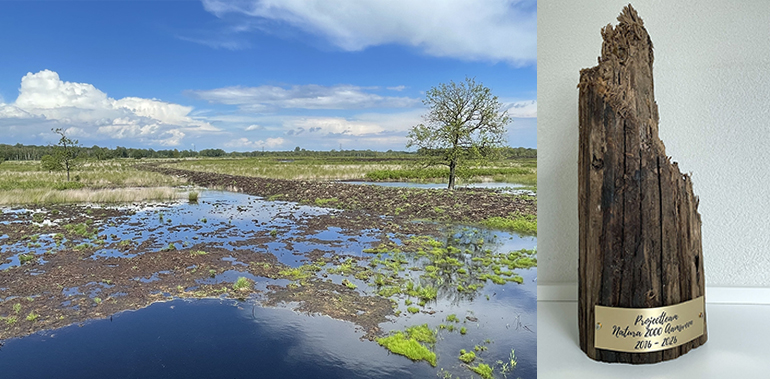 project Aamsveen voltooid